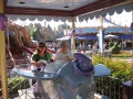 Disneyland 2009 227
